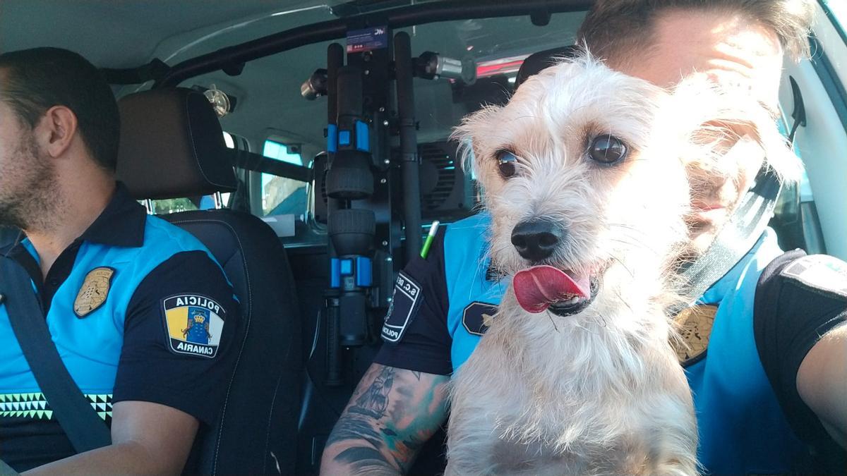Los agentes de la Policía Local de Santa Cruz con la perrita que han rescatado este sábado.