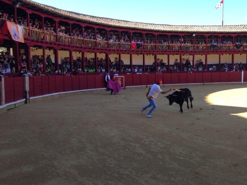 Fiestas en Toro | Becerrada de las peñas