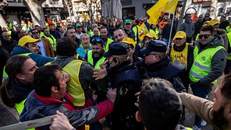 Vacían 60.000 litros de vino valorados en 2,5 millones de euros en la bodega Cepa 21