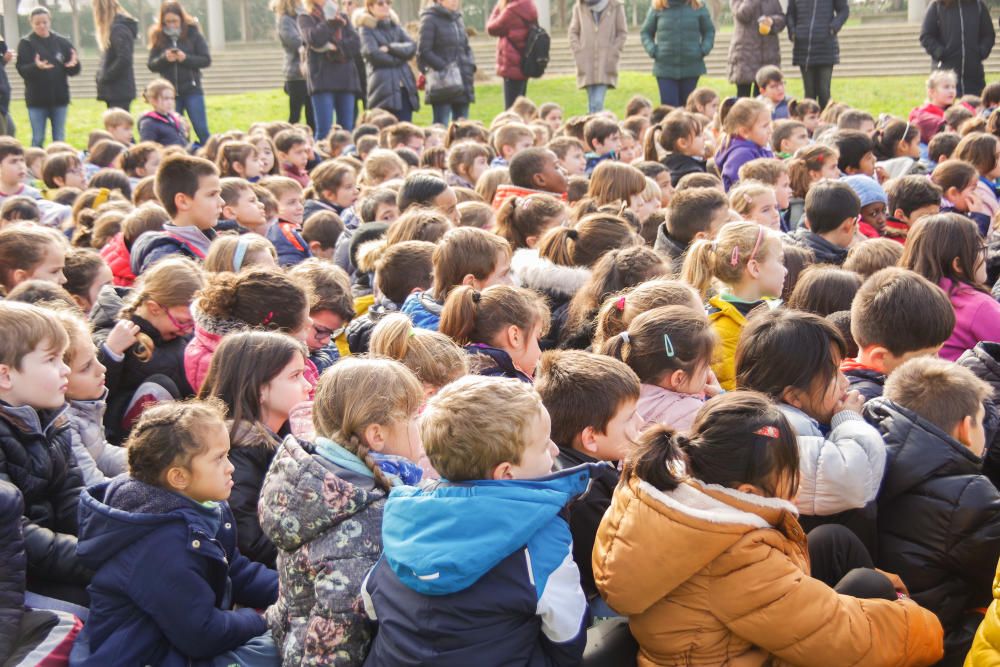 Dia Escolar de la No-Violència i la Pau