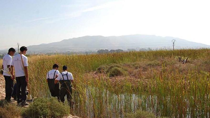 La zona de los Saleros de Villena ha sido objeto de diversas intervenciones ambientales.