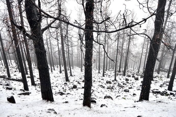 NIEVE CUMBRE GRAN CANARIA