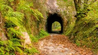 La ruta circular con un hayedo centenario que acaba en una cascada de tres saltos de 100 metros
