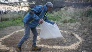 Les firmes que cacen senglars reclamen ser a Collserola