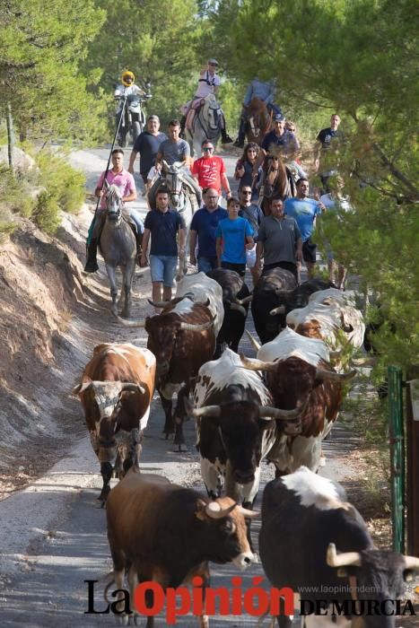 Vereda en Moratalla