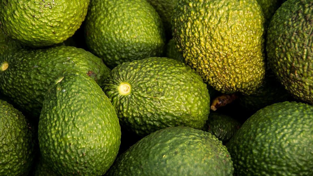 Goodbye avocado |  Goodbye to avocado: they ask to remove it from the diet for this reason