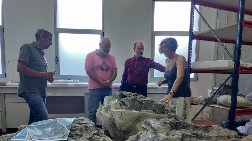El MUJA presenta el reptil marino de Vega, único en España