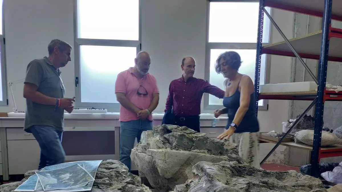 El MUJA presenta el reptil marino de Vega, único en España