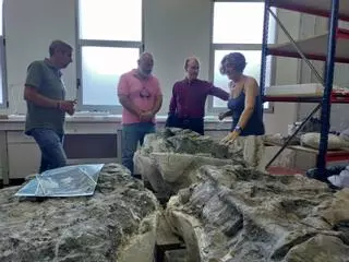 El MUJA presenta el ictiosaurio hallado en Playa de Vega