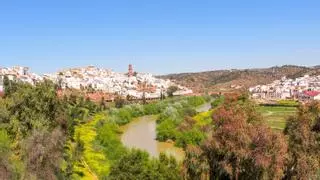45 millones de conchas en una casa de Montoro: el rincón más insólito del Alto Guadalquivir