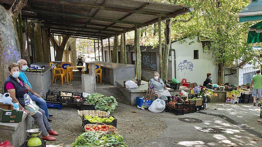 Algunas de las últimas &quot;rianxeiras&quot; en la depauperada zona de &quot;rianxo&quot; .