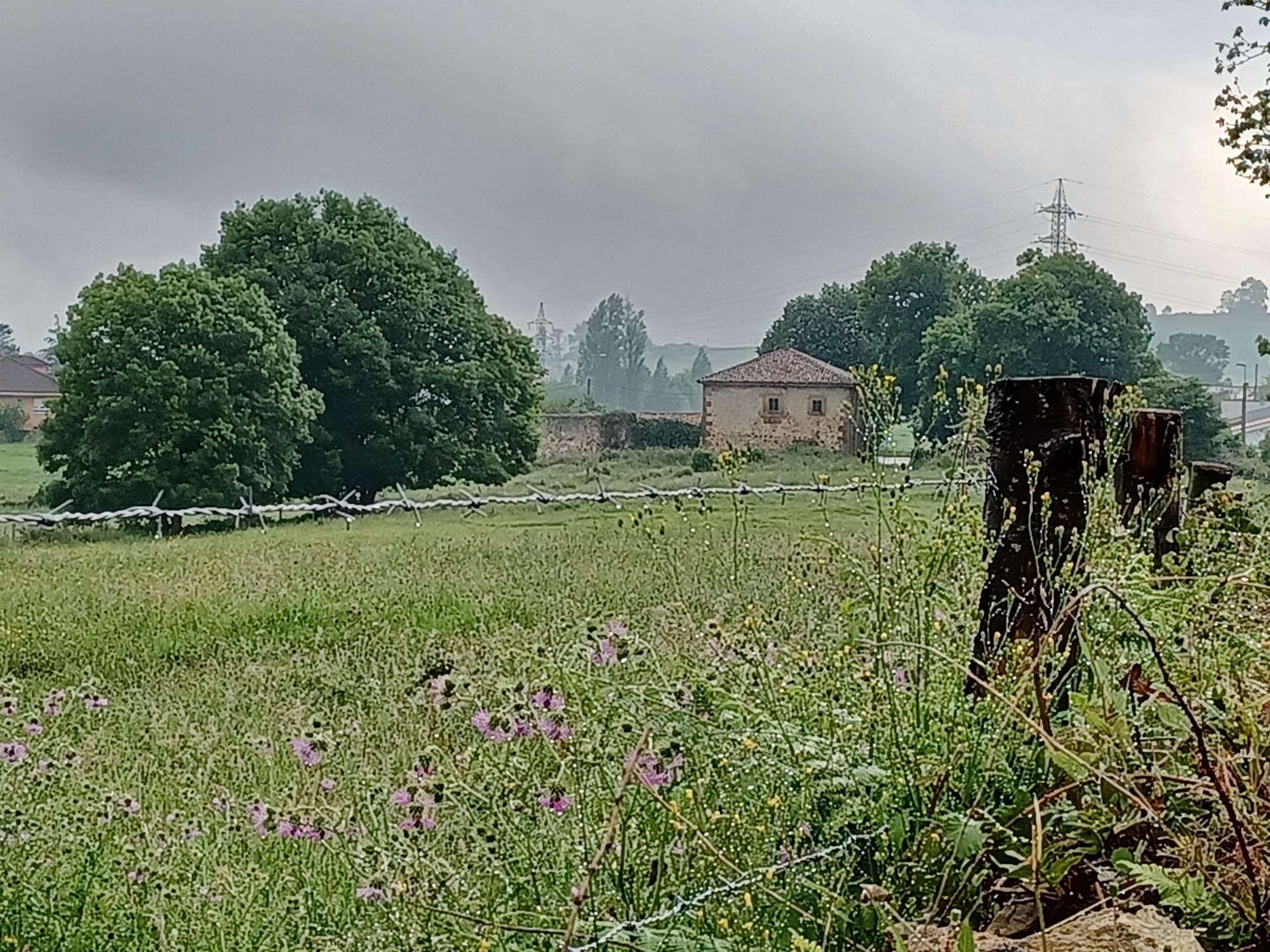 La casona de los Rodríguez de Pruvia en Llanera, el tesoro del siglo XVII oculto entre la maleza