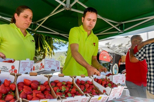 Festival de Sostenibilidad, Cultura y Soltura en Valsequillo