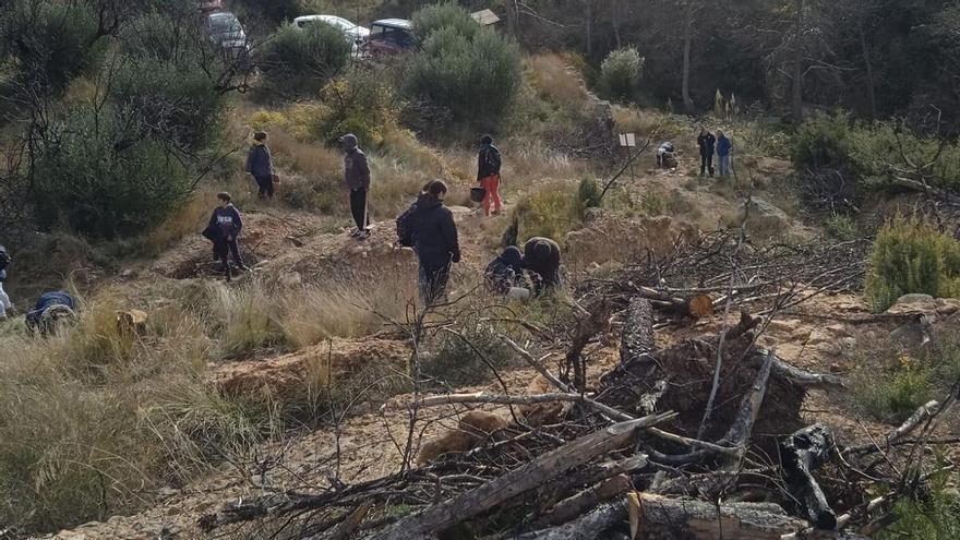 Los municipios forestales reclaman más ayudas para gestionar el monte, combatir la despoblación y prevenir así los incendios