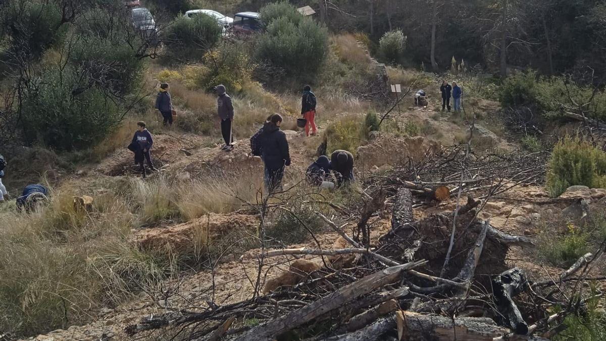 Actuación de un programa de recuperación ambiental ejecutado en Montán (Alt Millars)