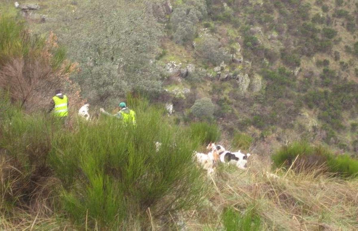 Desarrollo de una montería en Arribes del Duero.