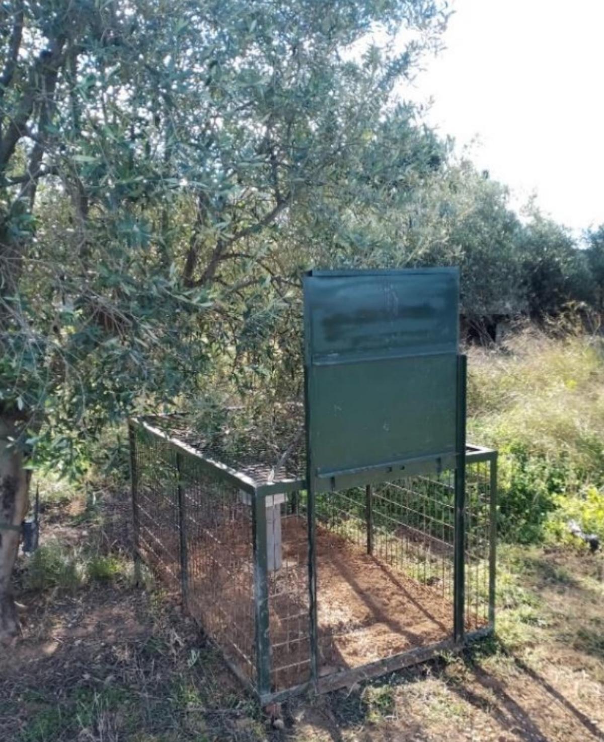 La Conselleria de Medio Ambiente, Agua, Infraestructuras y Territorio autorizó la instalación de los sistemas de captura en diversas parcelas.