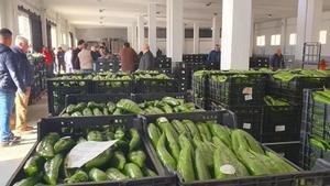 El sector hortofrutícola del litoral de la comarca de la Axarquía reconoce que los precios en origen han bajado hasta un 50% a raíz de las movilizaciones en Francia.