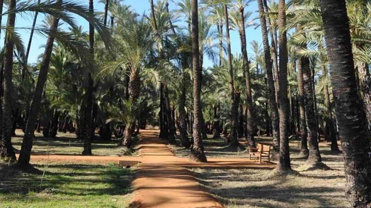 El Palmeral de Santiago y Zaraiche será un punto de encuentro cultural