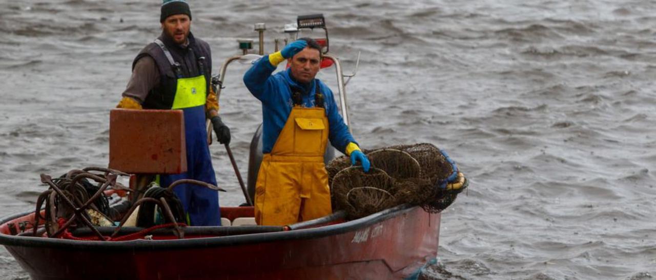 Los pescadores parecen molestos por la escasez de lamprea.