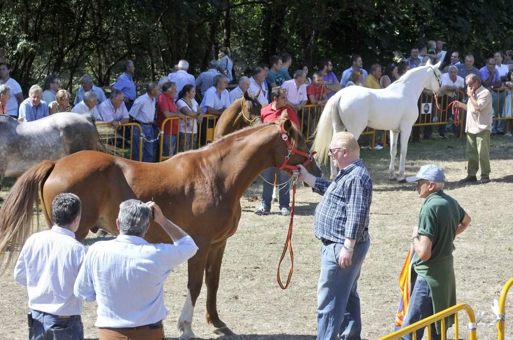 Última jornada en Femex y certamen ganadero