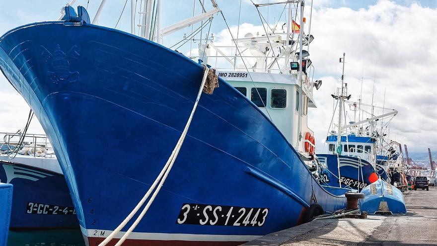 Atención pescadores de Tenerife: un millón de euros para compensar la pérdida de rentabilidad