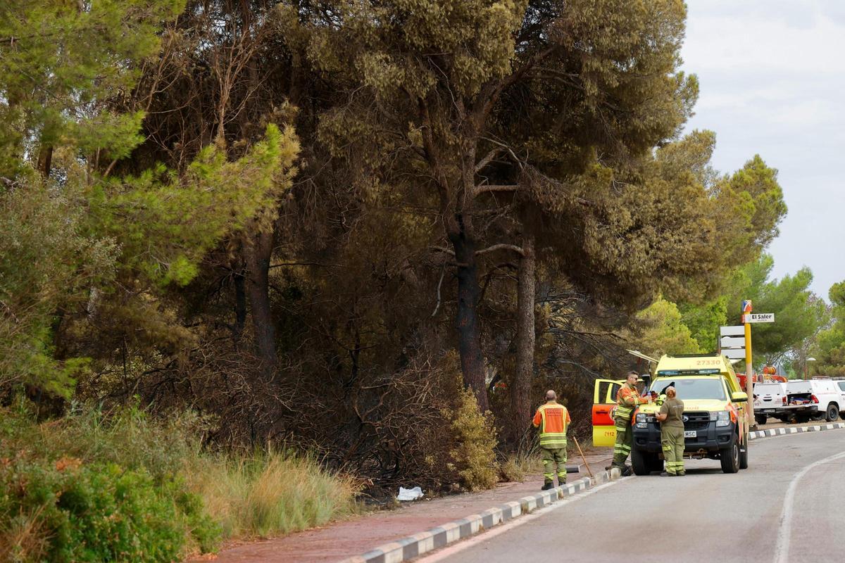 Las primeras imágenes del Saler tras el devastador incendio en la Devesa