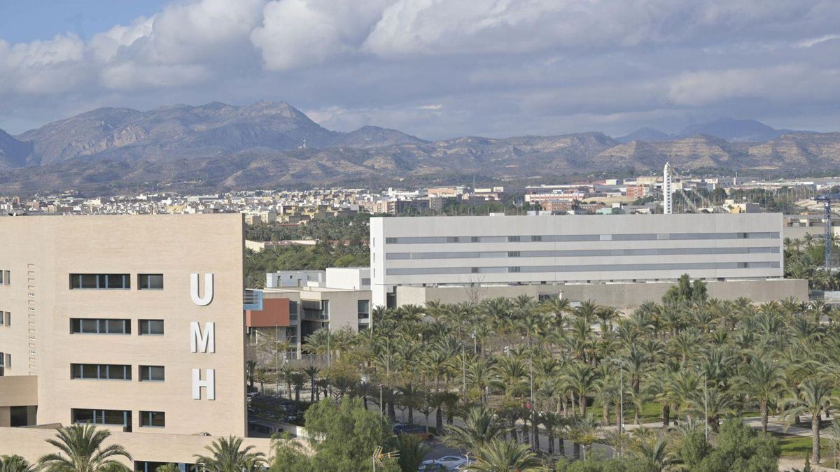 Una vista general del campus de la Universidad Miguel Hernández en la ciudad de Elche. | MATÍAS SEGARRA
