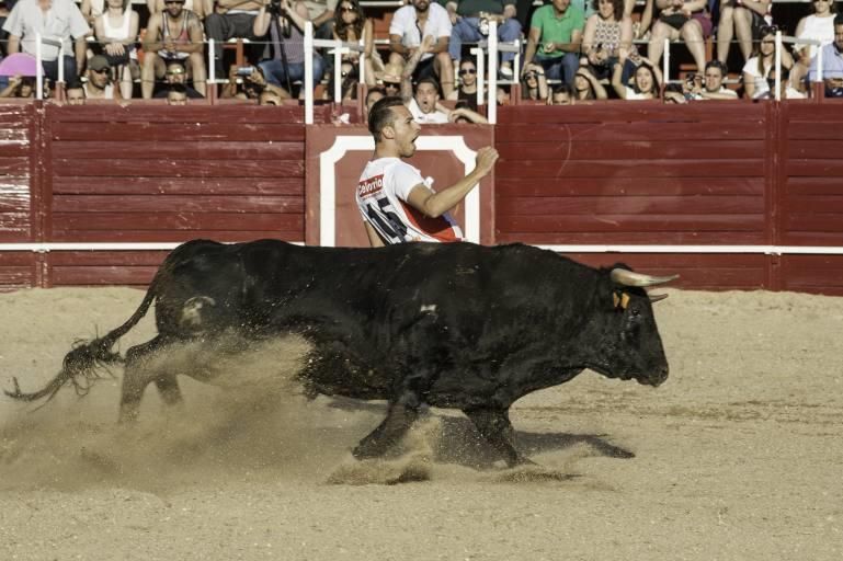 Concurso de cortes en la Plaza de Toros de Benaven