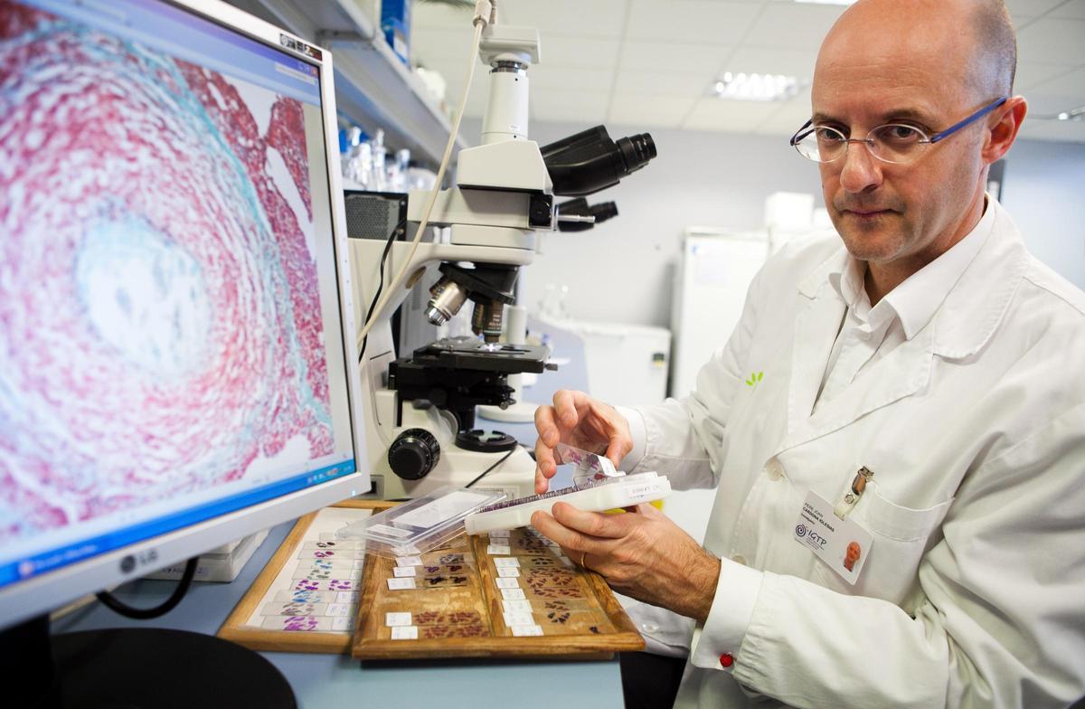 Pere-Joan Cardona fent recerca al laboratori