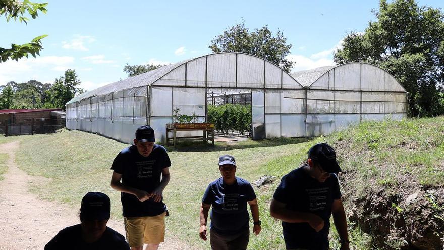 La Xunta eleva la financiación de más de 1.000 plazas para personas con discapacidad: qué cambia para las familias
