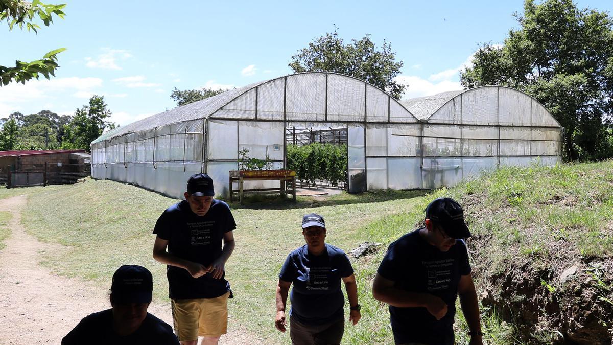 Personas con autismo formándose en agricultura y elaboración de conservas con la colaboración de la Universidad de Vigo en el centro Castro Navás de la Fundación Menela, en Priegue ( Nigrán). TEA. AUTISMO. TRASTORNO DEL ESPECTRO AUTISTA. INSTALACIONES