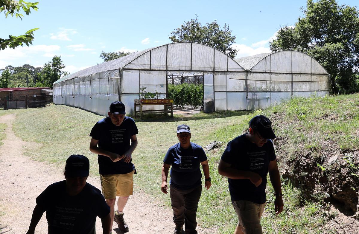 Una veintena de personas con autismo se forman en agricultura y elaboración de conservas con la colaboración de la Universidad de Vigo en el centro Castro Navás de la Fundación Menela, en Priegue ( Nigrán). TEA. AUTISMO. TRASTORNO DEL ESPECTRO AUTISTA. INSTALACIONES