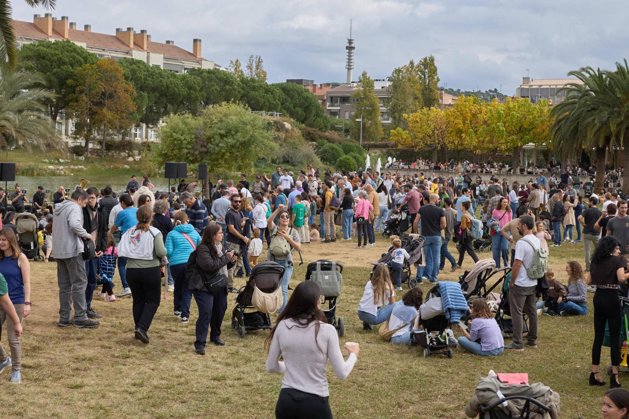 Les fotos de la trobada de gegants i bestiari de Girona