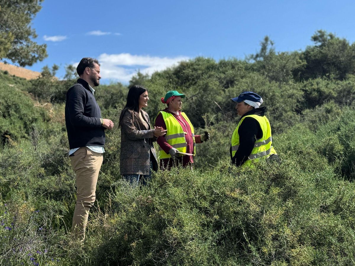 Los ediles de Medio Ambiente y Parques y Jardines supervisaban los trabajos este martes.