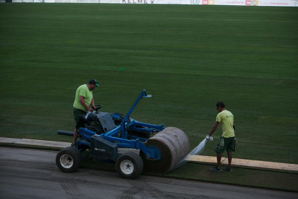 7 años después de la última reposición, el estadio cuenta con un césped de la máxima categoría