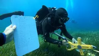 "¿Imagina ver en el fondo del mar a personas caminando?": el único museo submarino de España está en Canarias