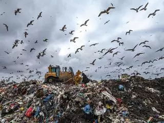 El reciclaje fracasa en Europa: Bruselas expedienta a todos los países de la UE por incumplir los objetivos marcados