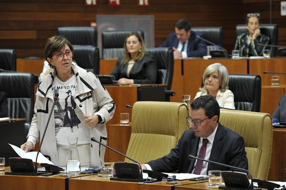 La consejera de Industria, Energía, Ciencia y Territorio, Mercedes Morán, en el pleno de la Asamblea.