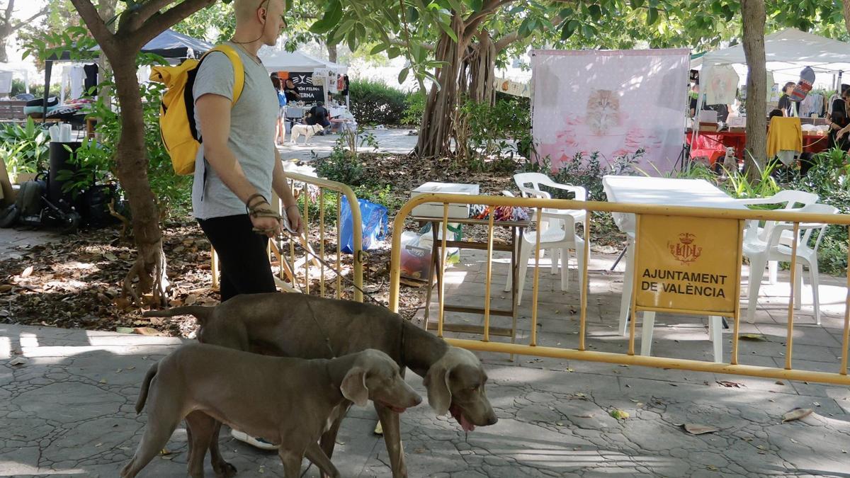 Feria de mascotas en València