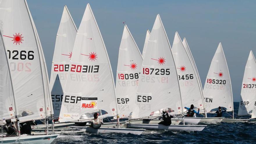 Flota de Laser Standard en Torrevieja