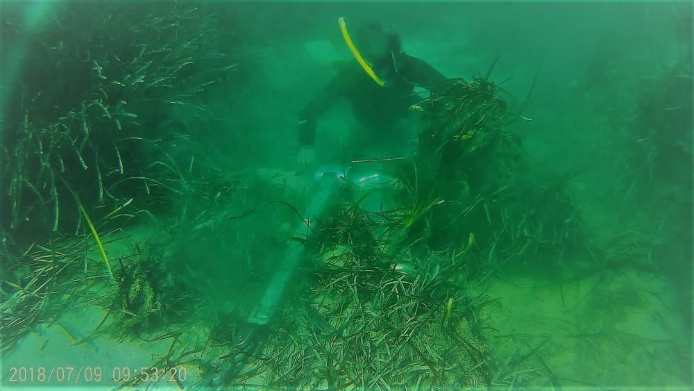 Yacht ankert in geschützten Seegraswiesen vor Portocolom