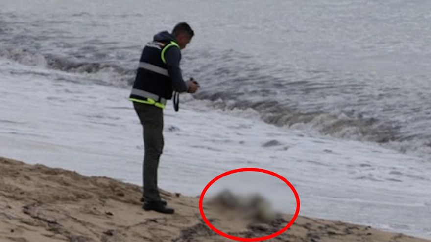 Aparecen restos humanos en descomposición en una playa de Mallorca