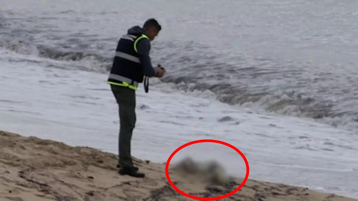 Aparecen unos restos humanos en la playa de s'Arenal, en Palma