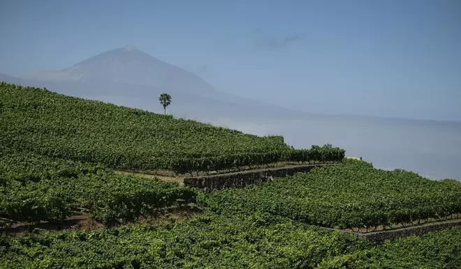 Tenerife sabe diferente: tradición, vanguardia y sabor atlántico