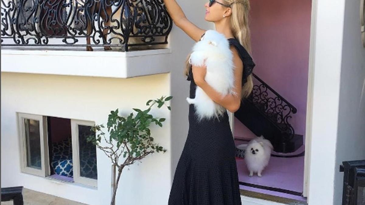 Paris Hilton construye una mansión para sus 13 chihuahuas