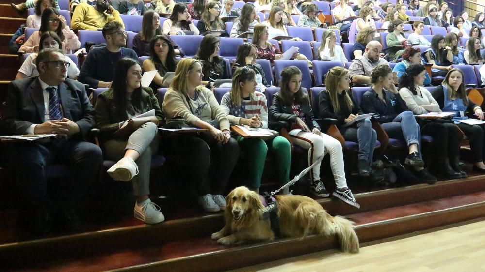 Más de 200 personas asisten en la UIB a un congreso sobre enfermedades raras