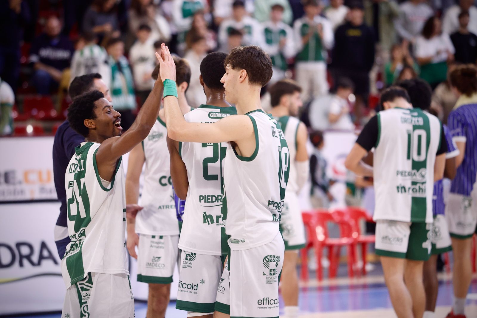 Coto Córdoba-Caja 87 | El encuentro de la Segunda FEB de baloncesto en imágenes