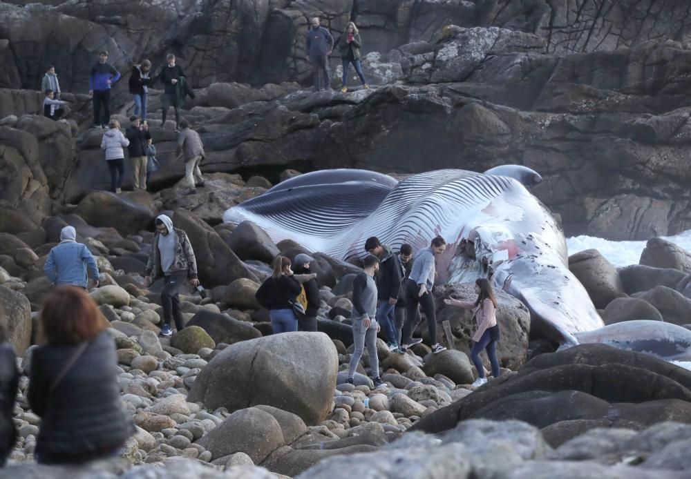 La ballena varada de Oia