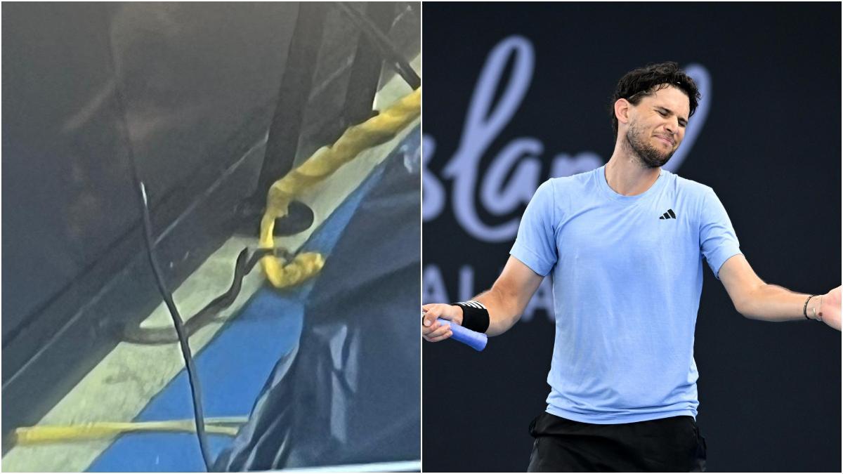 Una serpiente obligó a parar el partido de Thiem en Brisbane